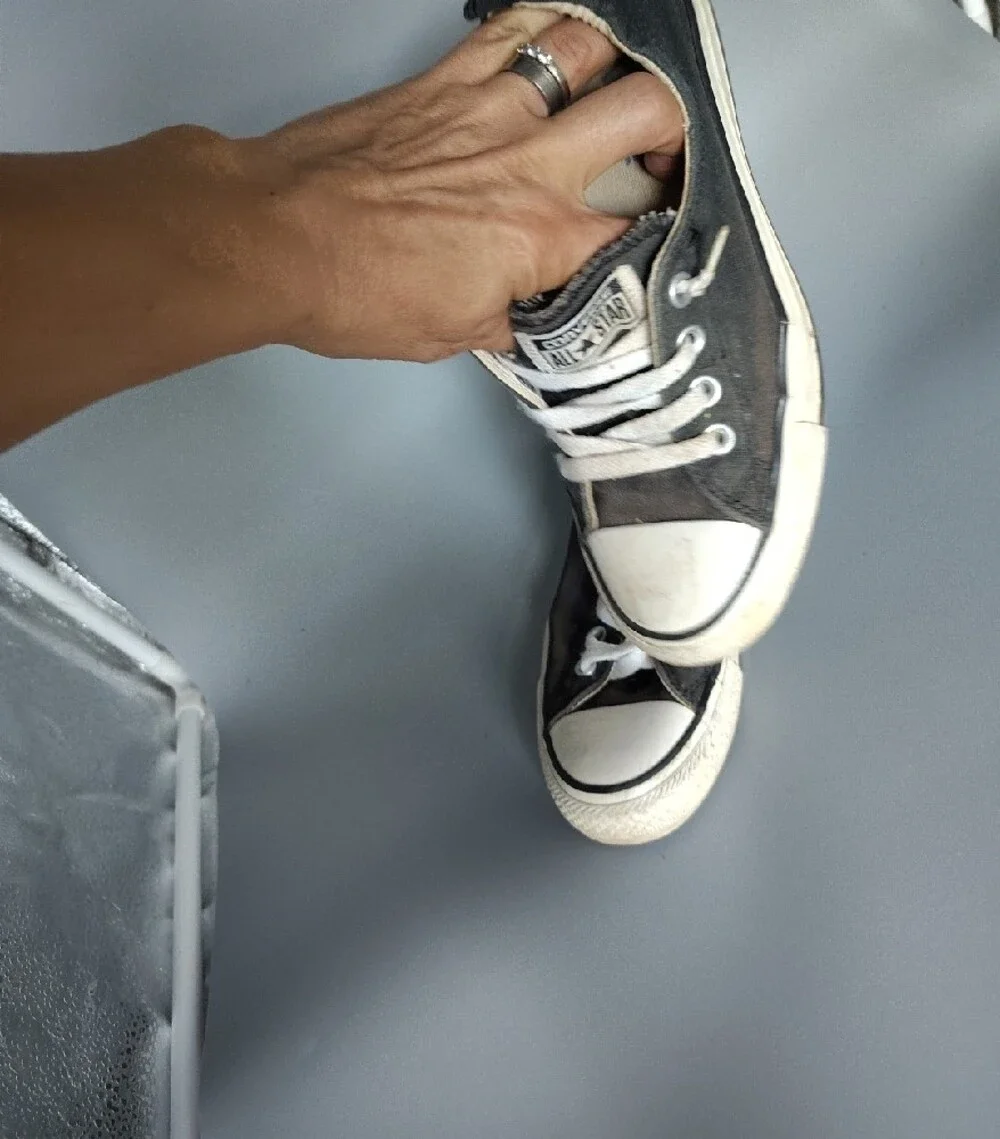 Converse classic low